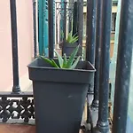 Manoli Pensión