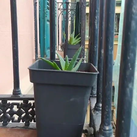 Manoli Penzion