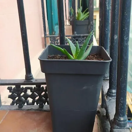 Manoli Penzion Bilbao