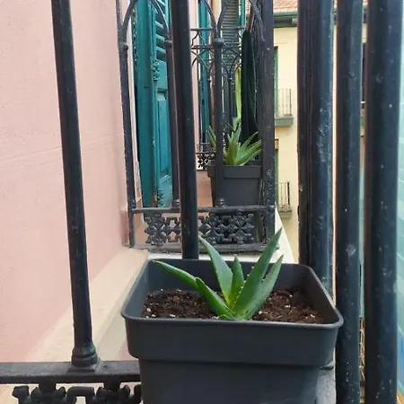 Manoli Penzion *