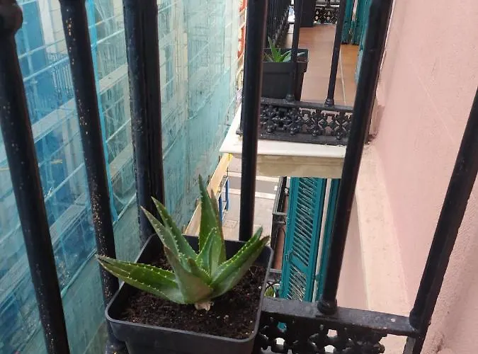 Manoli Maison d'hôtes Bilbao