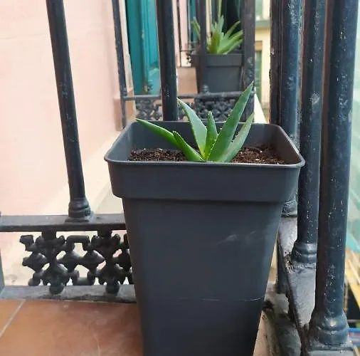 Manoli Maison d'hôtes Bilbao