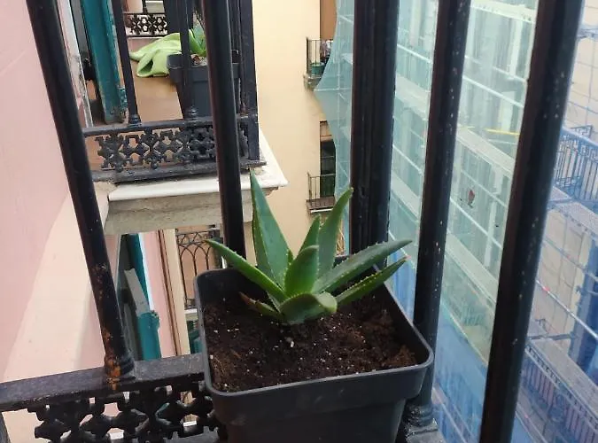 Maison d'hôtes Manoli *